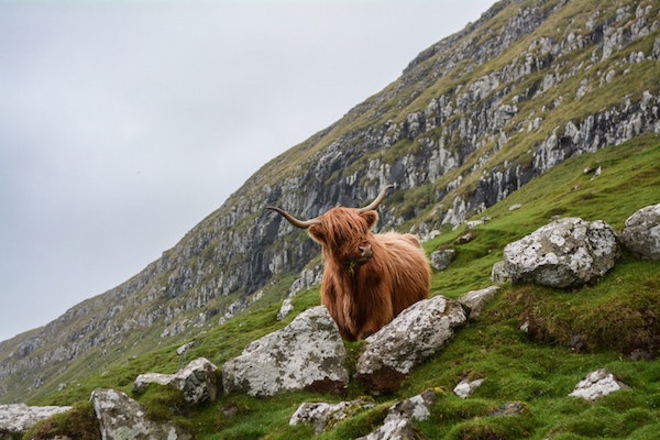 Tour de 2 días por las Highlands y la Isla de Skye